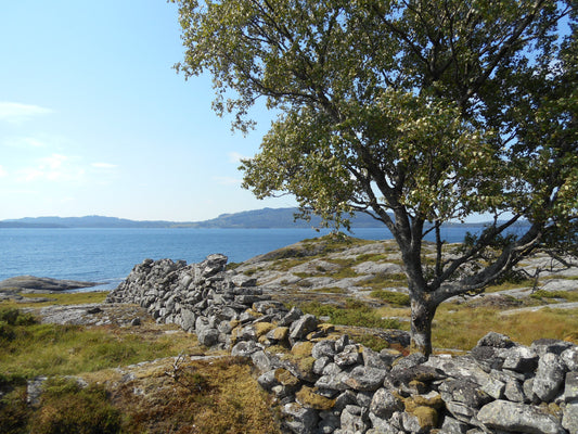 Kanalisering. Utfordringer