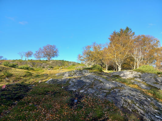 Kanalisering. I livets tumulter