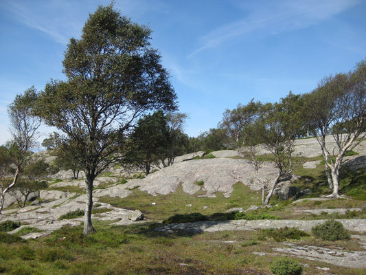 Kanalisering. Vibrasjoner