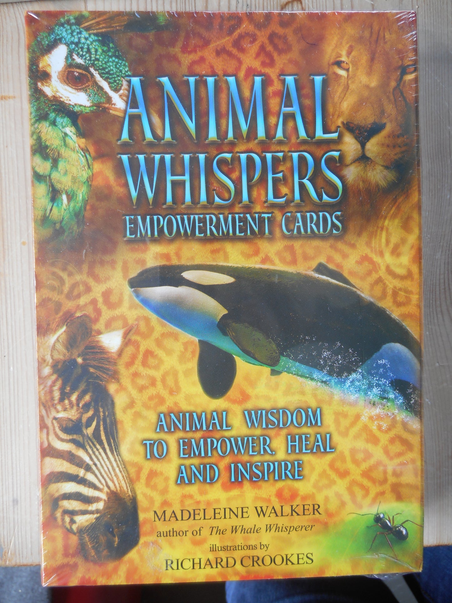 Animal whispers Empowerment cards av Madeleine Walker