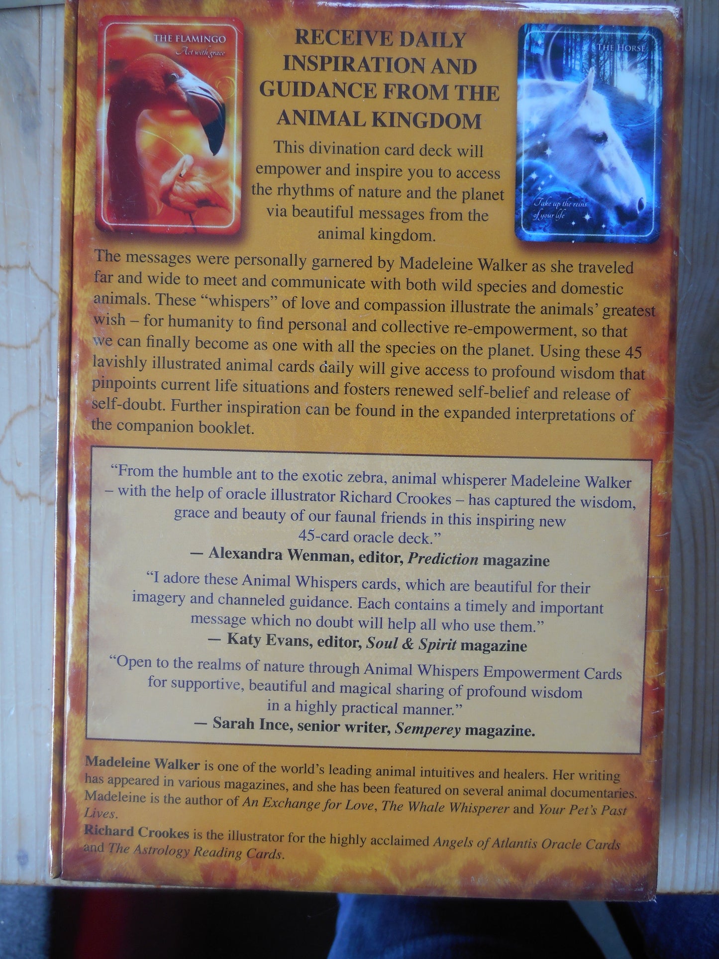 Animal whispers Empowerment cards
