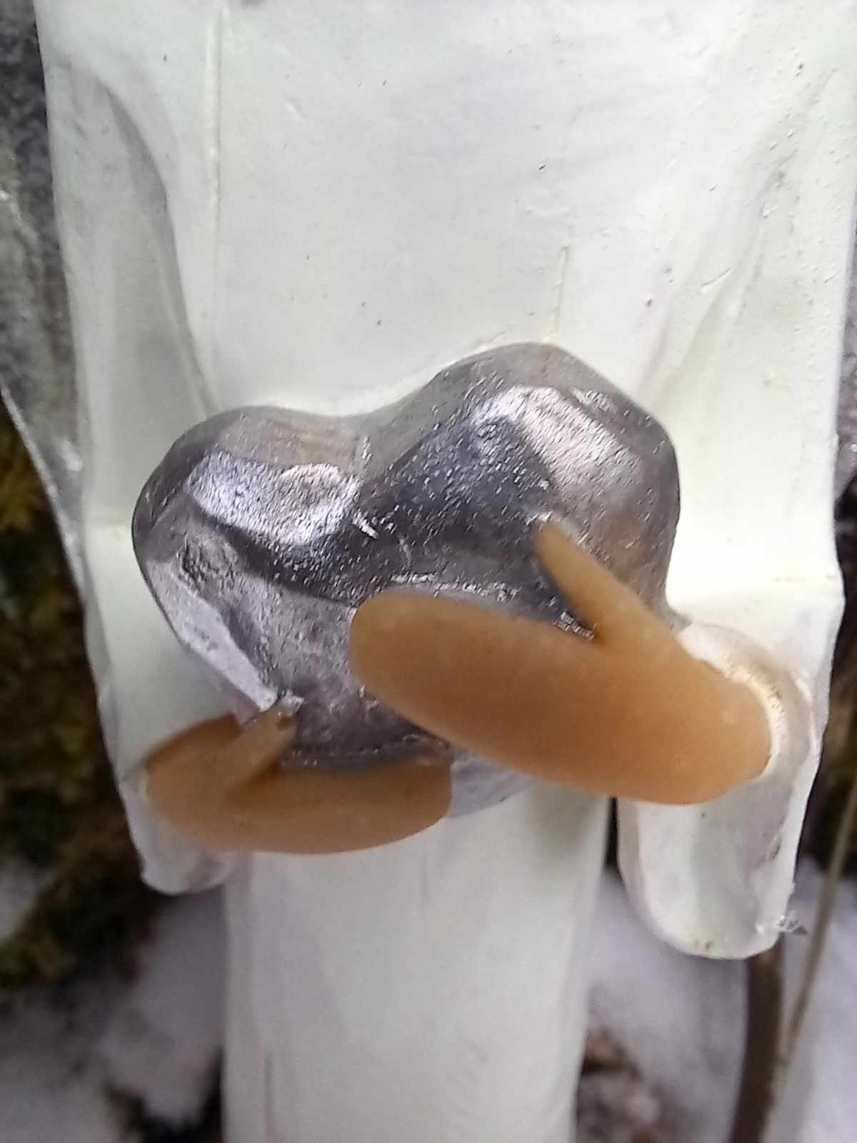 Evangeline, kjærlighetens engel