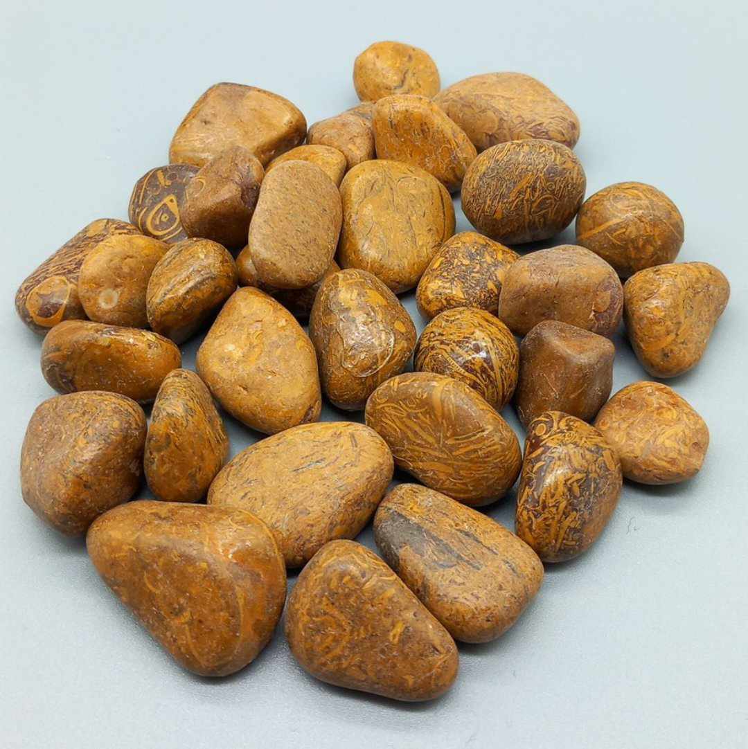 Bronzite