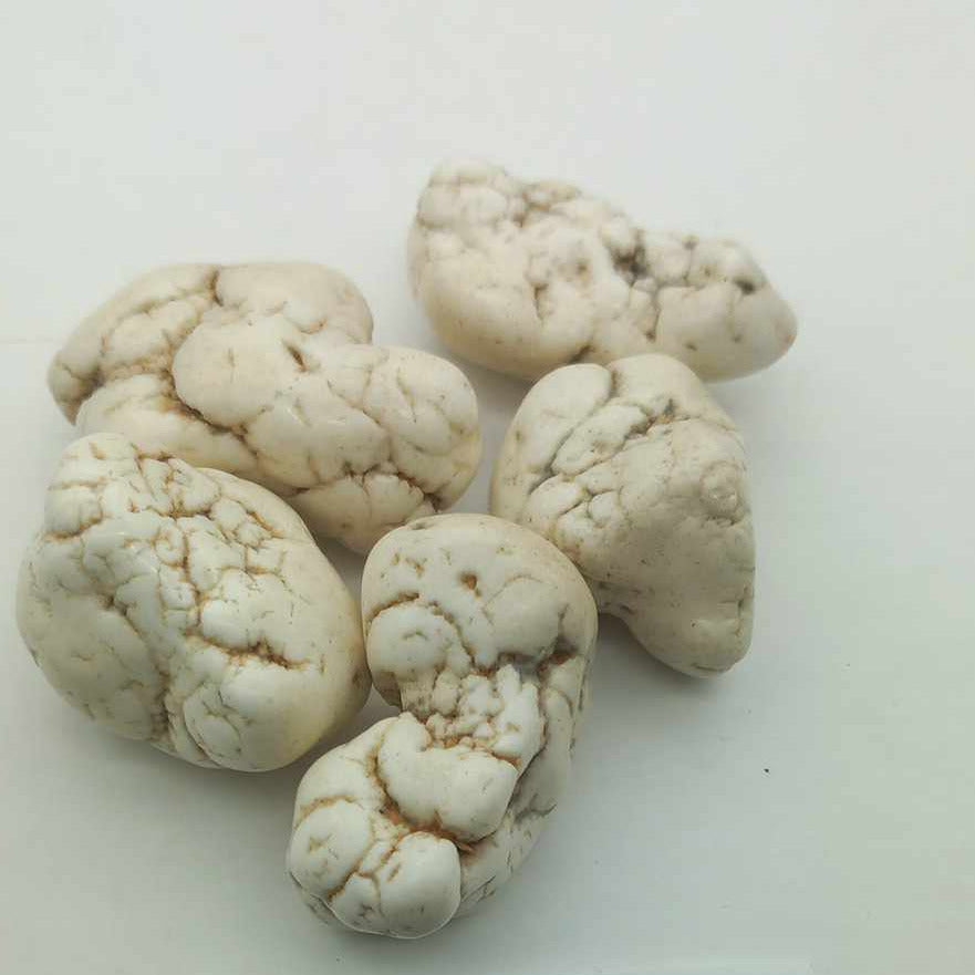 Magnesite. Mariposite
