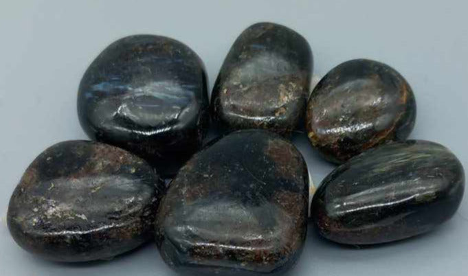 Astrophyllite / Astrofyllitt