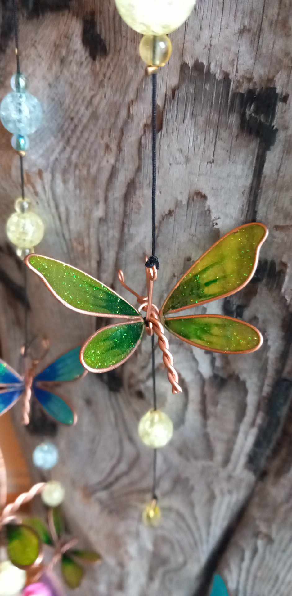 Dragonfly solfanger