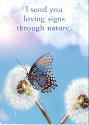 Talking to heaven cards