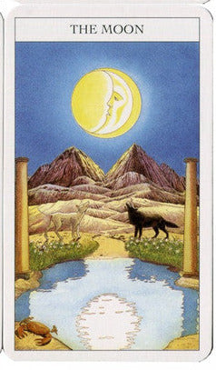 The Beginners Guide to Tarot. Med bok