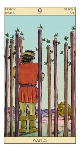 Tarot of the New Vision