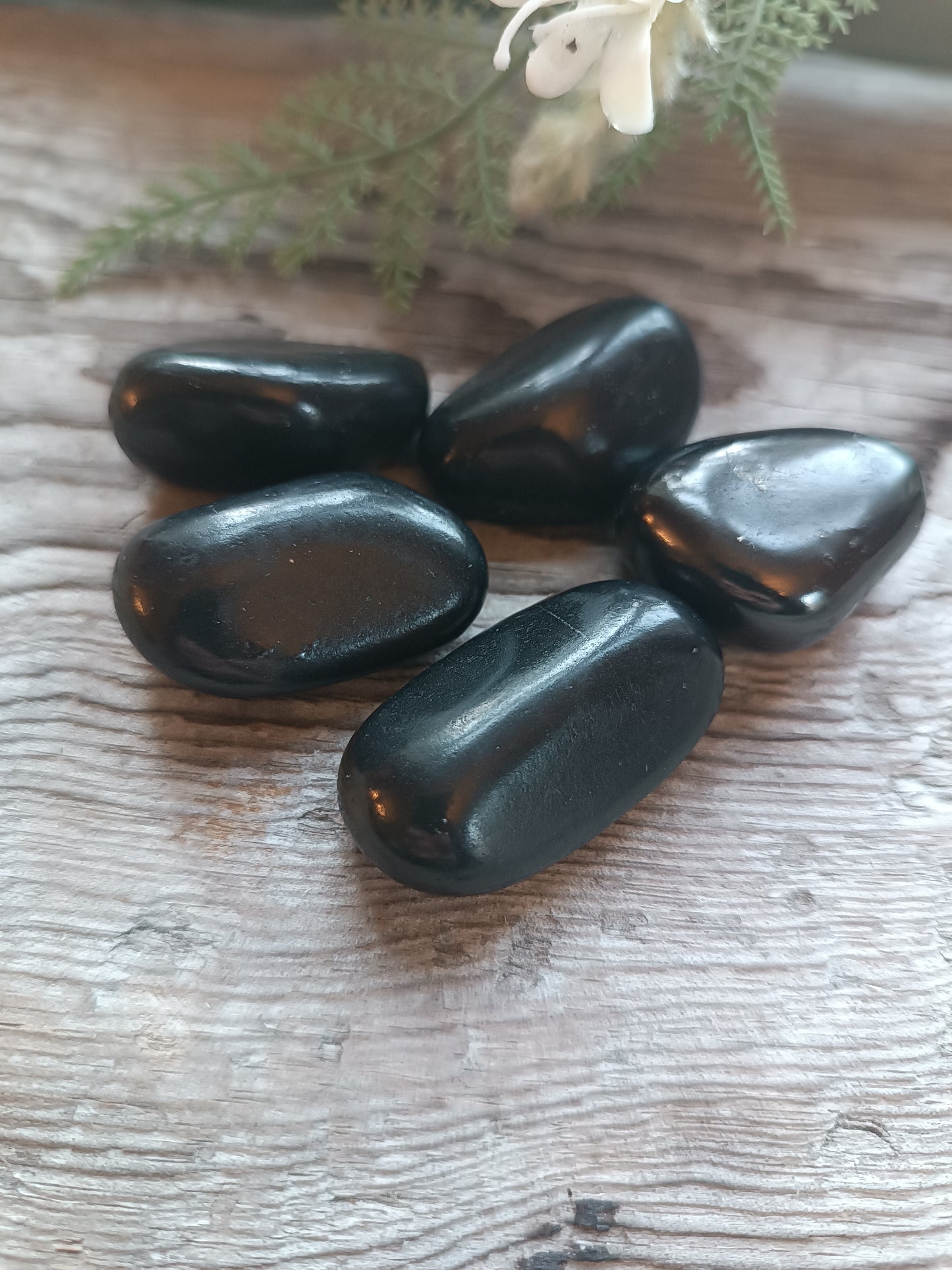 Shungite