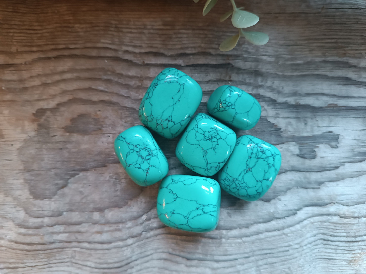 Howlitt / Howlite