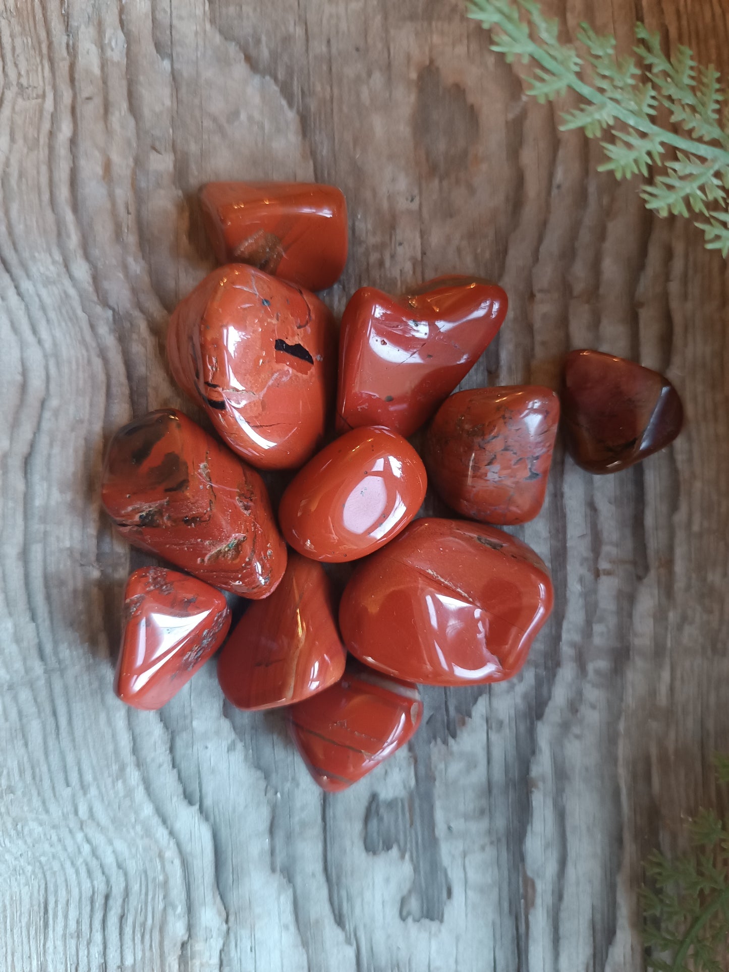 Jaspis rød/ Rød Jasper
