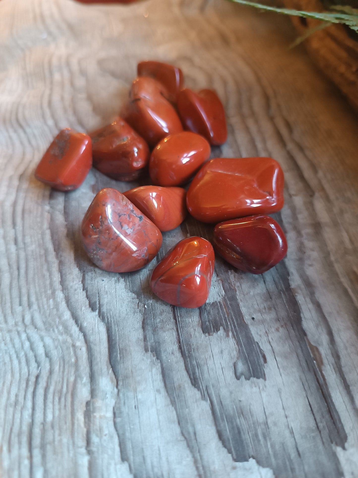 Jaspis rød/ Rød Jasper