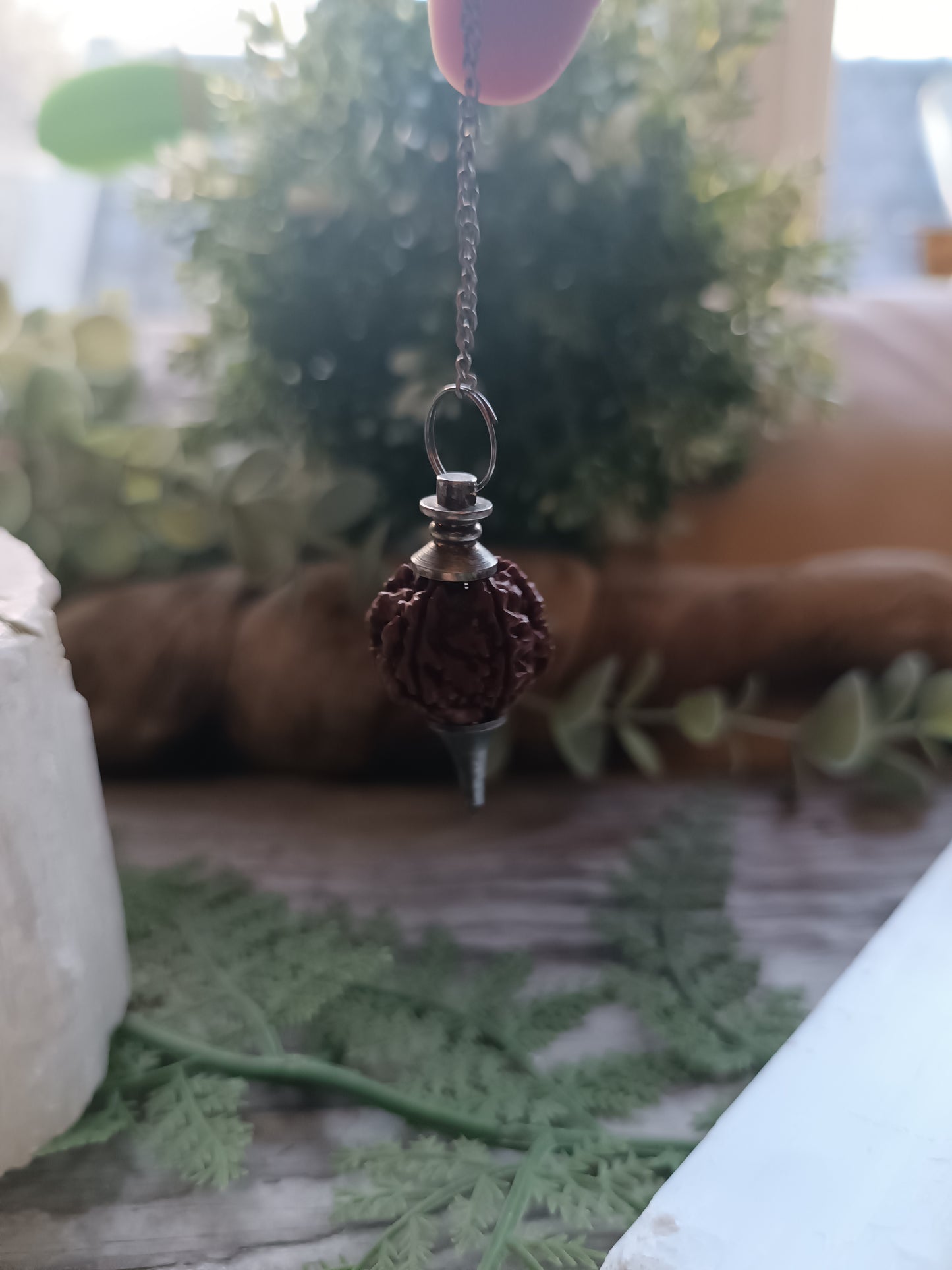 Rudraksha frø Pendulum