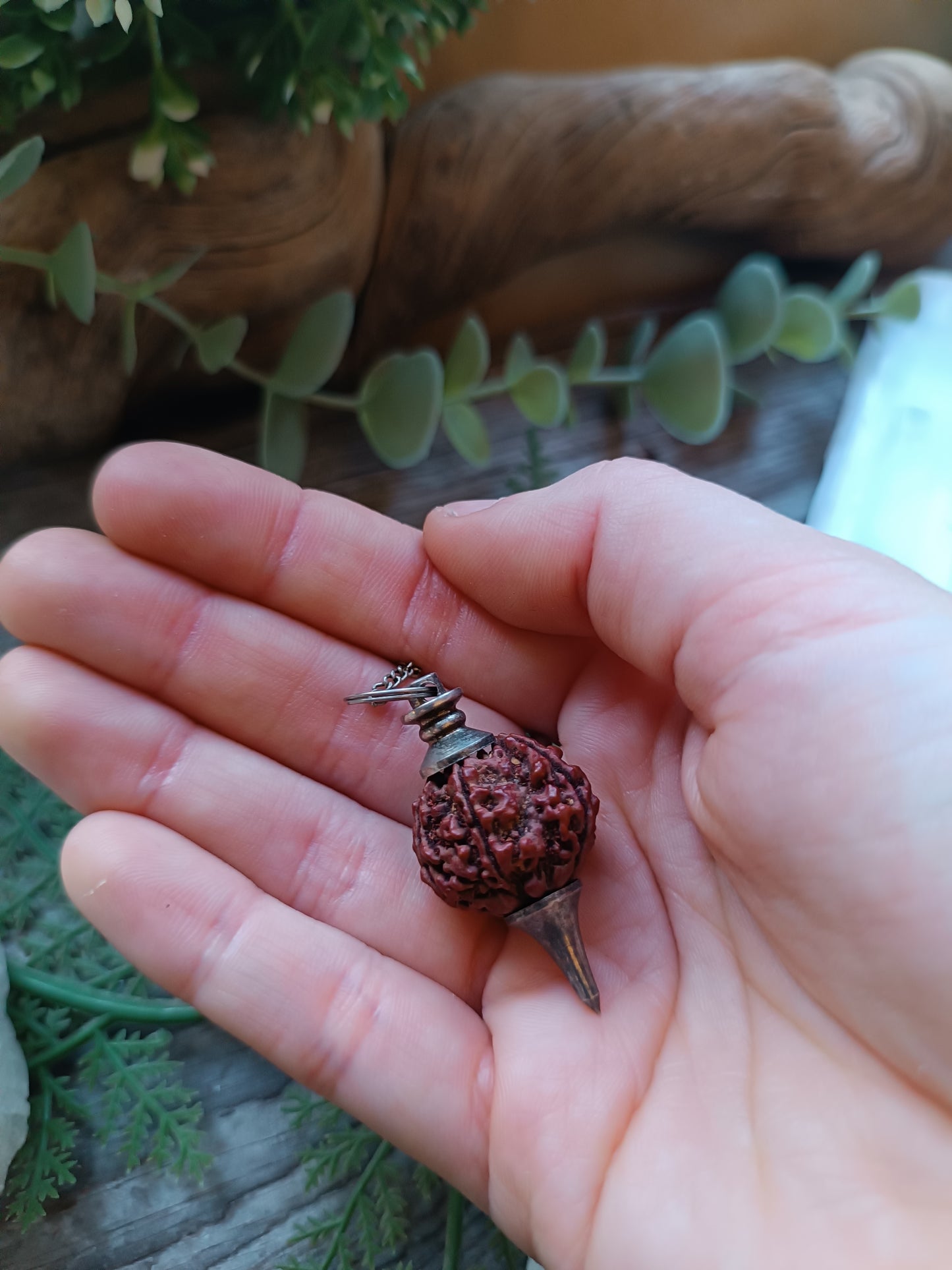 Rudraksha frø Pendulum
