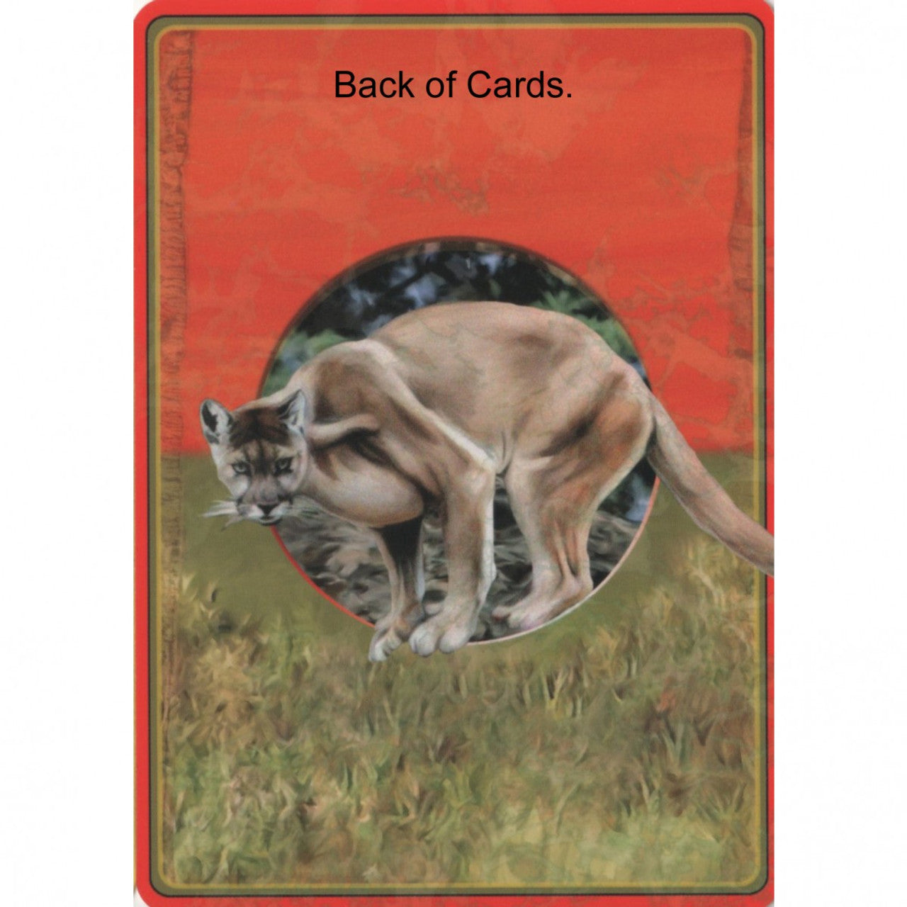 Power animal oracle cards