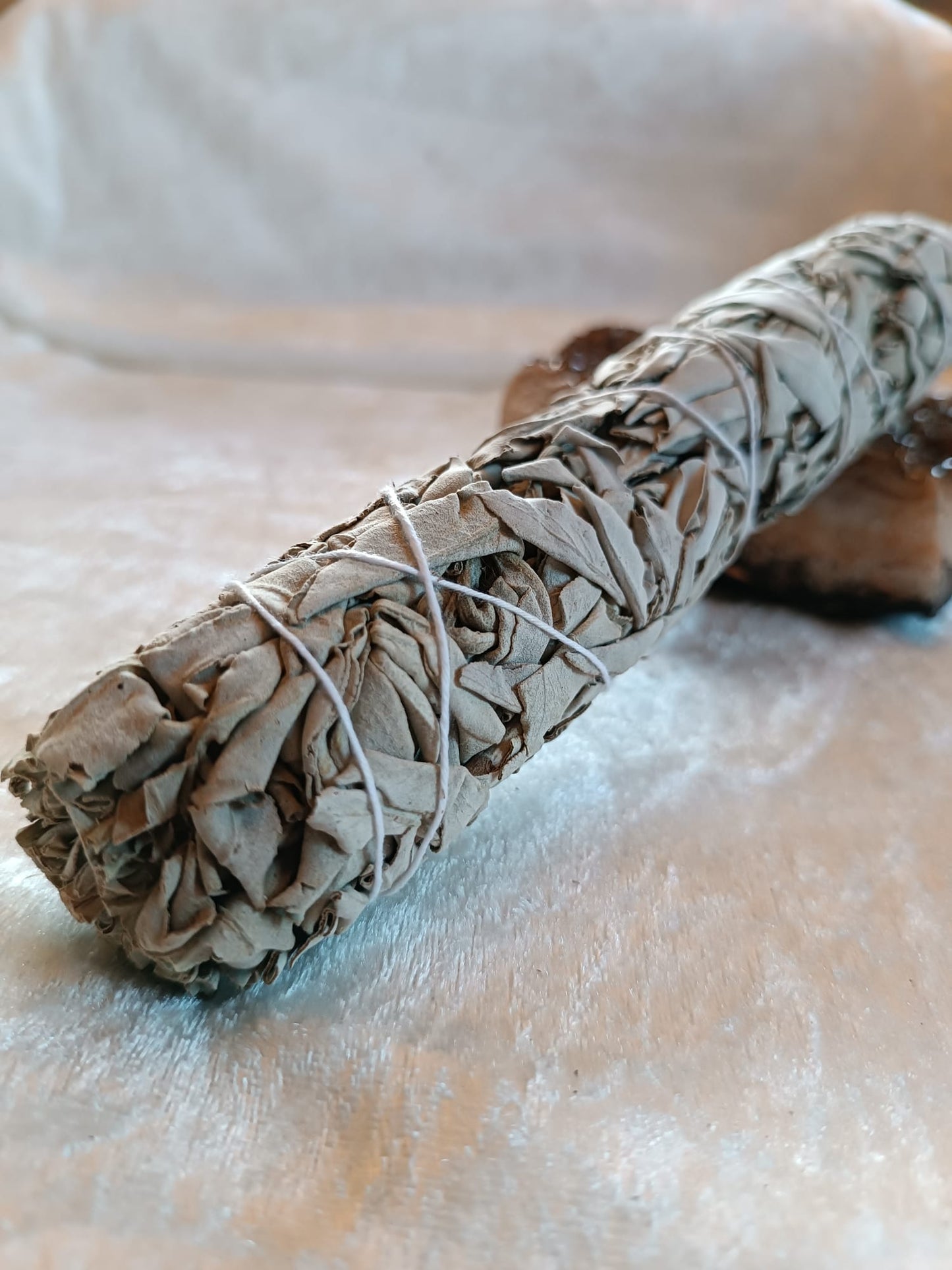 Salvie hvit / White sage / Salvia apiana
