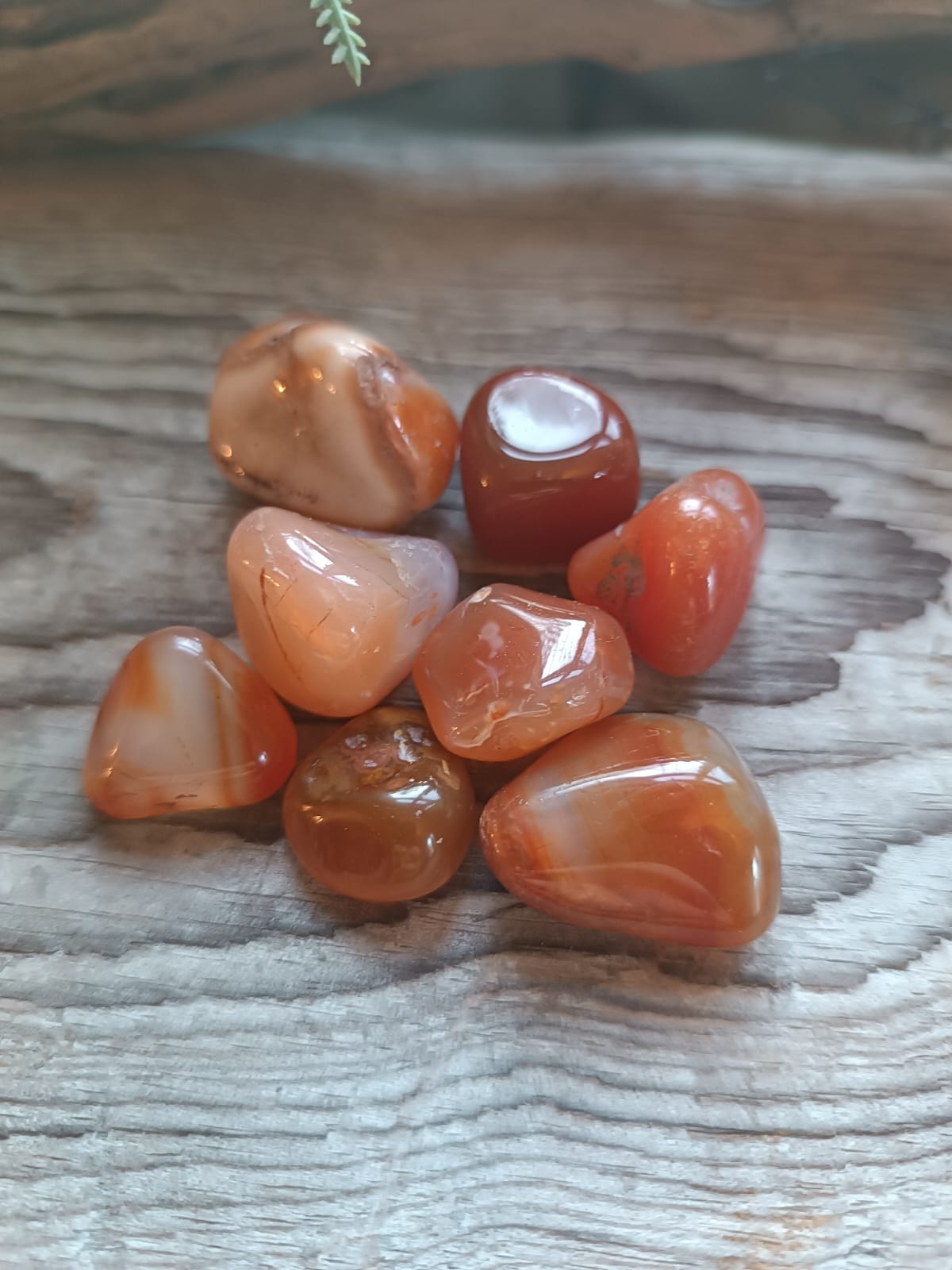 Karneol / Carnelian