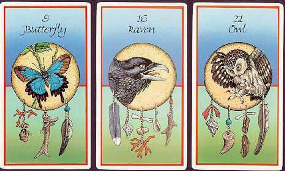 Medicine cards
