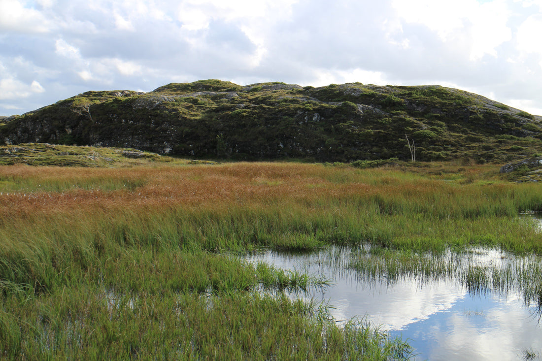 Kanaliserting. Du er mer.