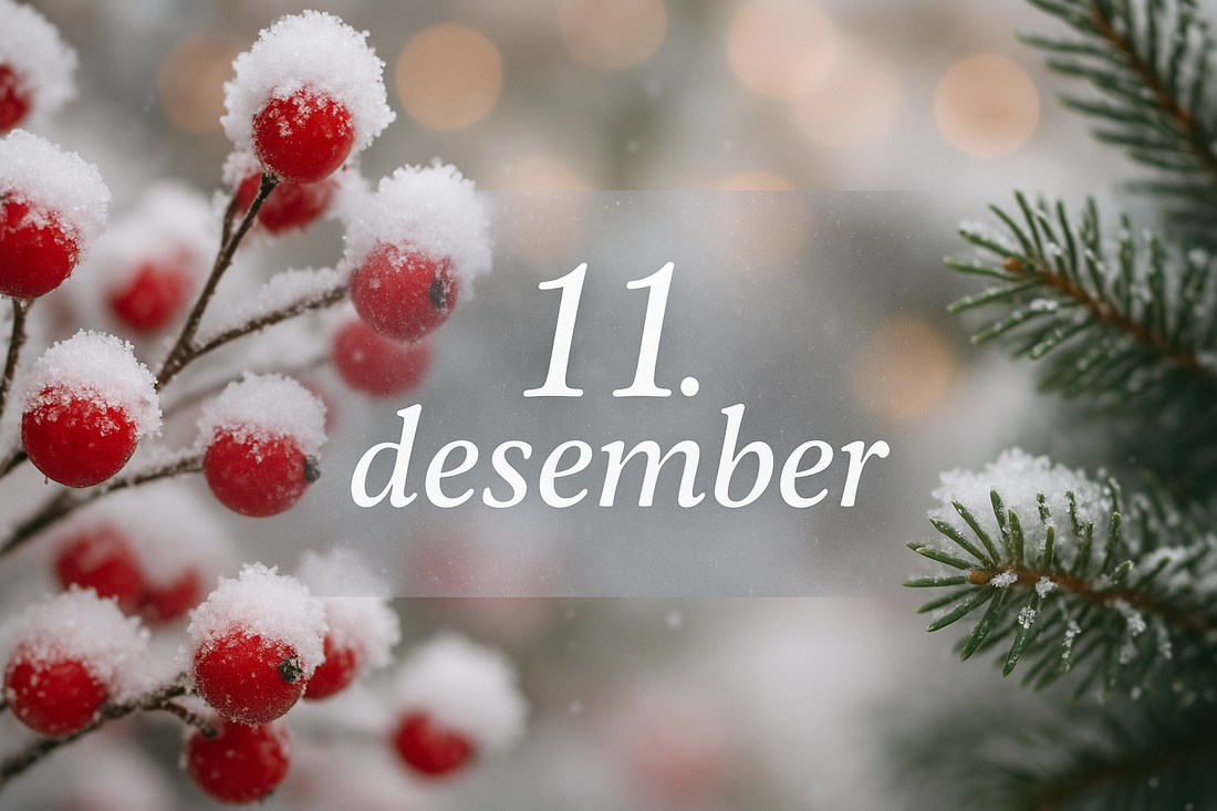 11. Desember