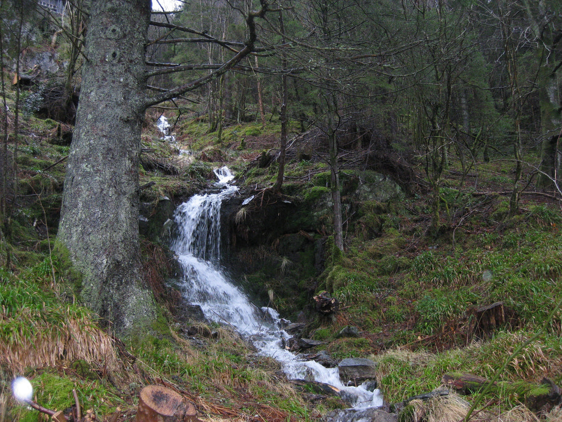 Kanalisering. I evighetens foss
