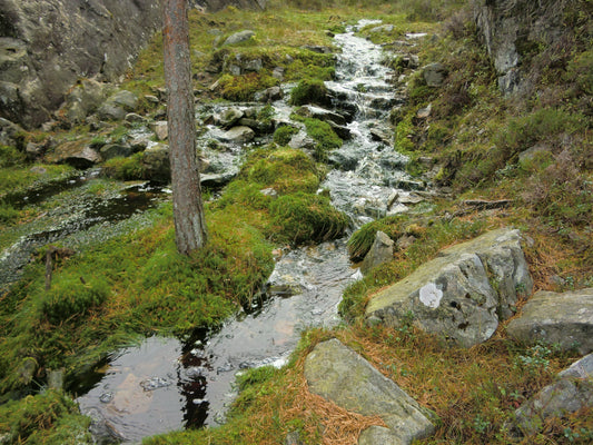 Kanalisering. Livets toner...