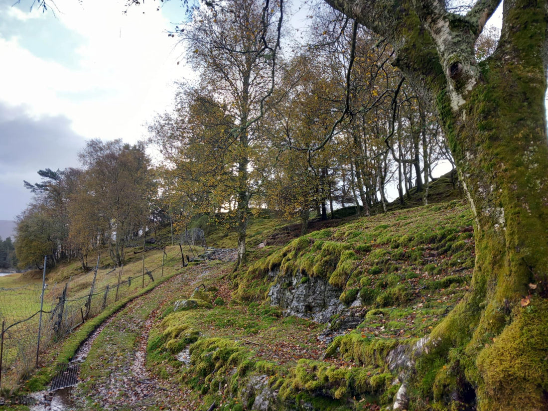Kanalisering. Tiden og nuet