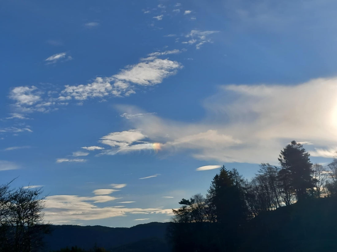 Kanalisering. Når maskene faller