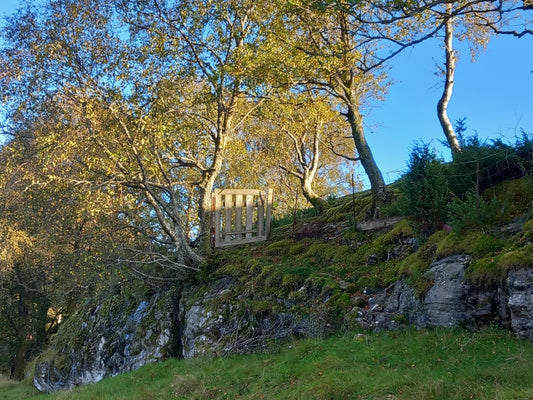 Kanalisering. Ikke tro alt