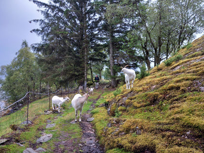 Rekreasjonsstedet Raunøy / feriested / airbnb