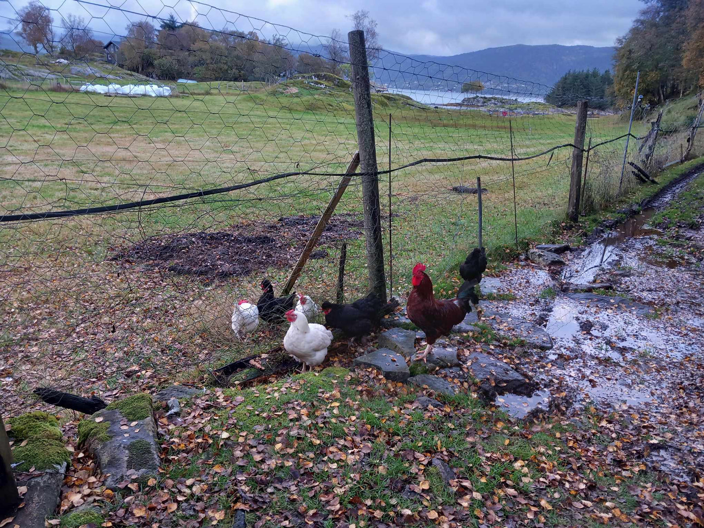 Rekreasjonsstedet Raunøy / feriested / airbnb