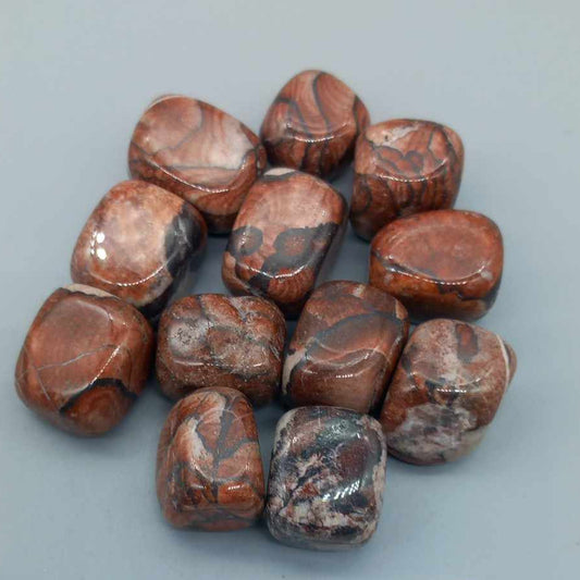 Picture Jasper / Bilde Jasper