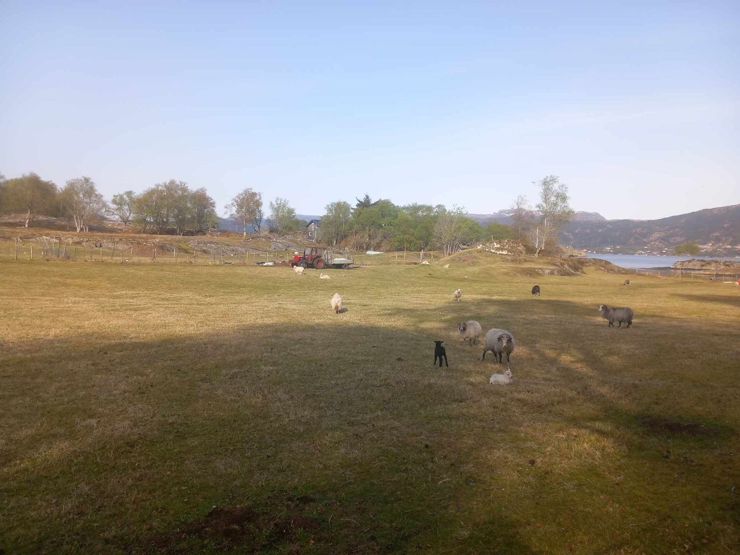 Rekreasjonsstedet Raunøy / feriested / airbnb