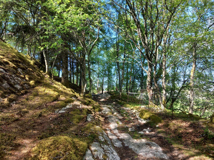 Rekreasjonsstedet Raunøy / feriested / airbnb