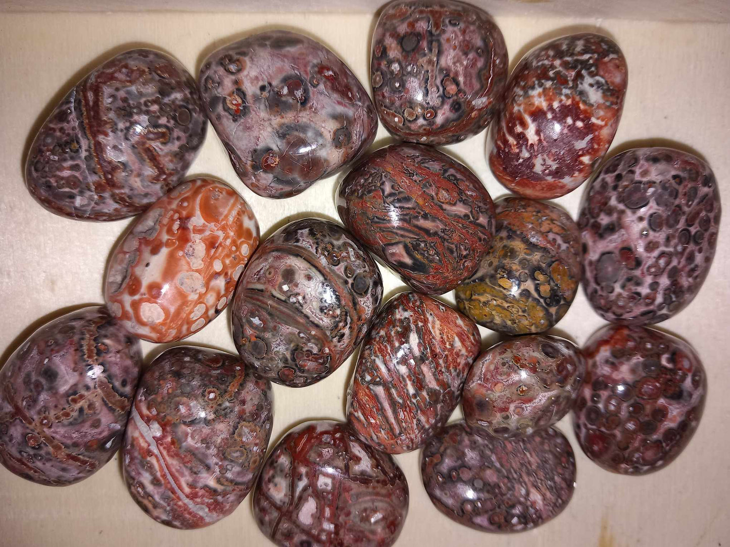 Leopardskinn Jaspis / Leopardskin Jasper