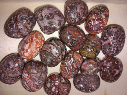 Leopardskinn Jaspis / Leopardskin Jasper