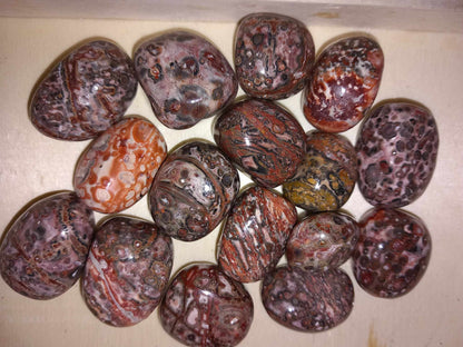 Leopardskinn Jaspis / Leopardskin Jasper