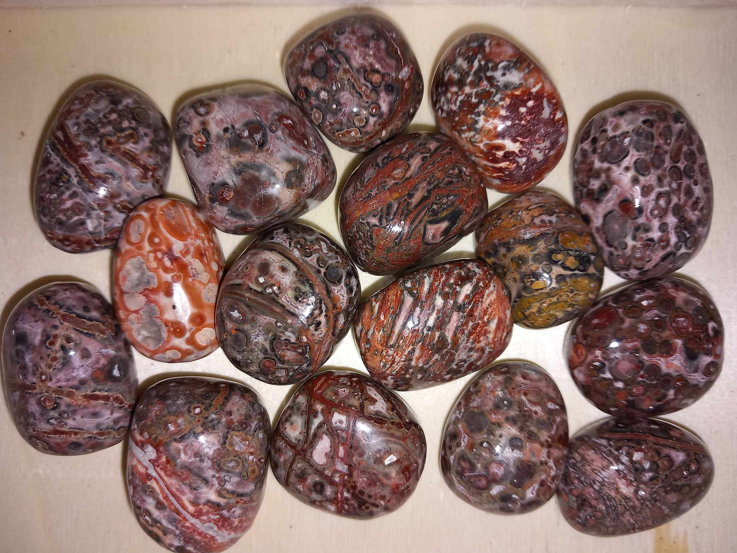 Leopardskinn Jaspis / Leopardskin Jasper