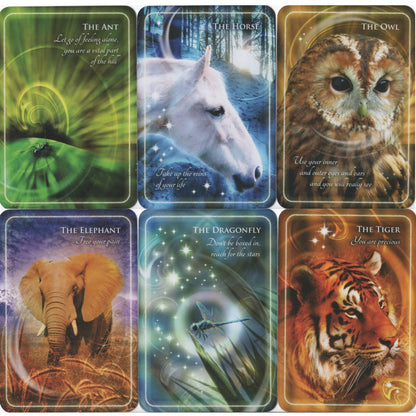 Animal whispers Empowerment cards