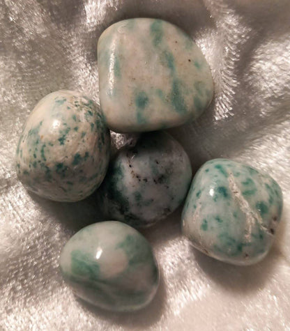 Amazonitt / Amazonite Tromlet stein