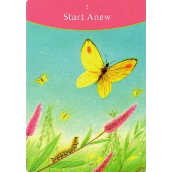 The answer is simple oracle cards