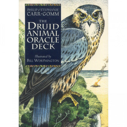 The druid animal oracle deck