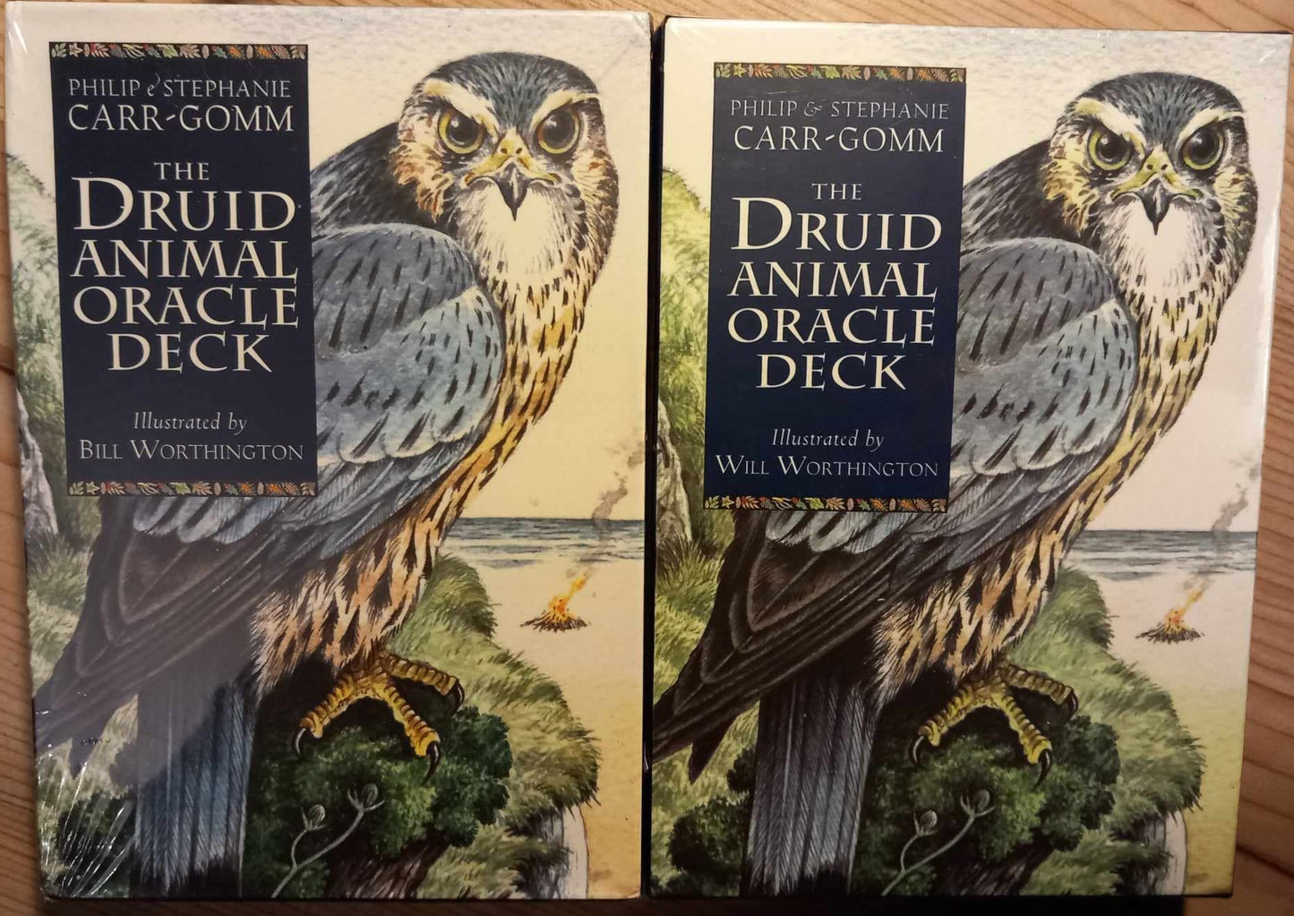 The druid animal oracle deck