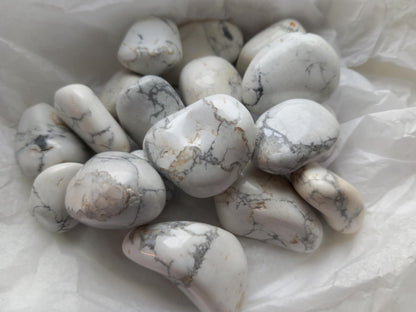 Howlitt / Howlite