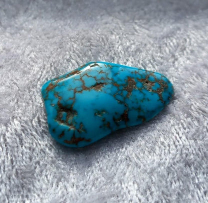 Turkis (ekte) USA, Turquoise
