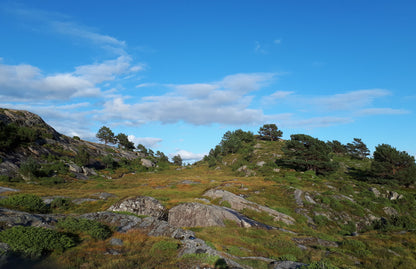 Rekreasjonsstedet Raunøy / feriested / airbnb