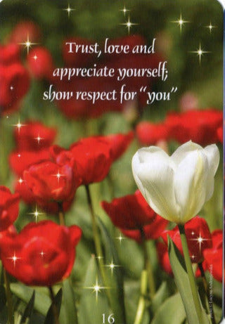 Message from heaven cards.