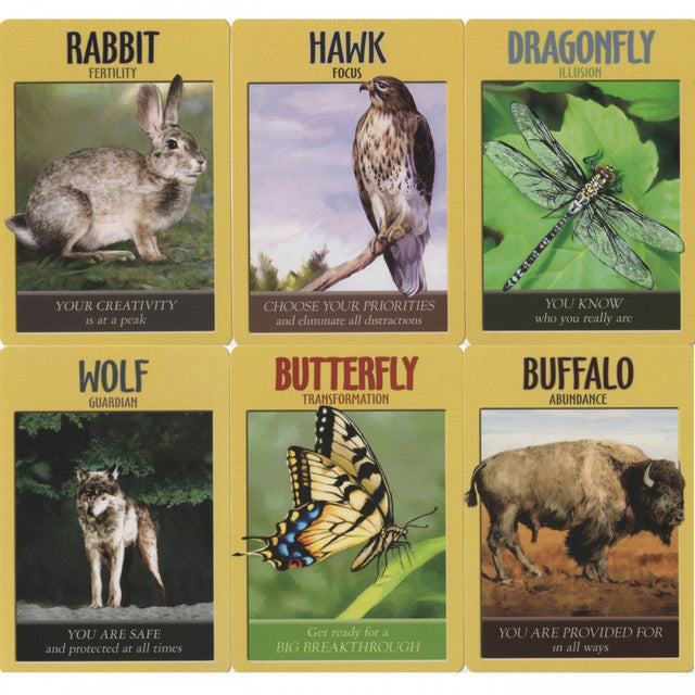 Power animal oracle cards