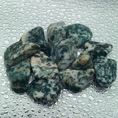 Treagat / Tree Agate